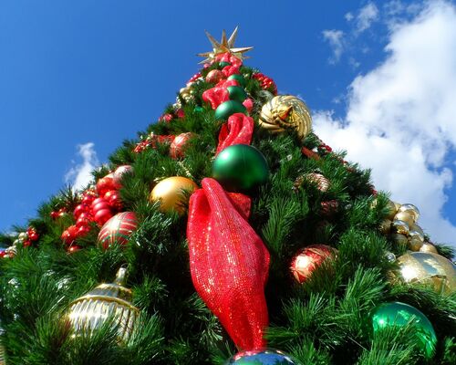 christmas-tree-227014_1280