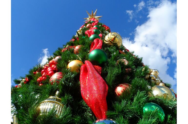 christmas-tree-227014_1280