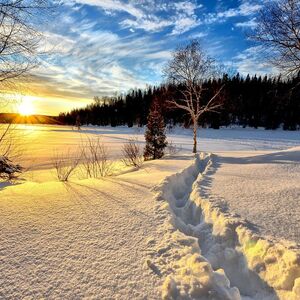winter-landscape-gee8570740_1280