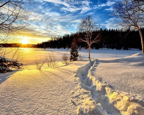 winter-landscape-gee8570740_1280