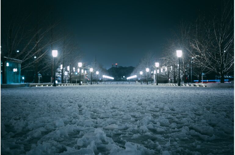 h-yoyogi-AmqbsfgwK18-unsplash